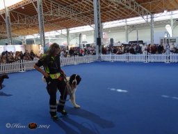 Haustiermesse am 1.03.2026